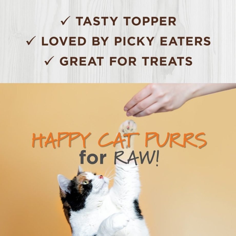 Instinct Cat Freeze-dried Raw Boost Mixers Grain-free Skin & Coat Cat Food Topper - 156G