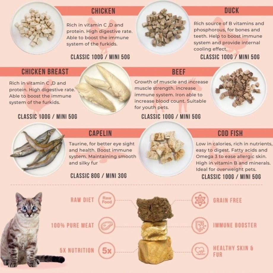 Amelisa Rawly Bites Classic Chicken Freeze Dried Treat - 100G